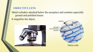 Comprehensive Overview of Phase Contrast Microscopy Principles and ...
