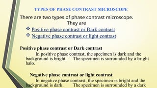 Comprehensive Overview of Phase Contrast Microscopy Principles and ...