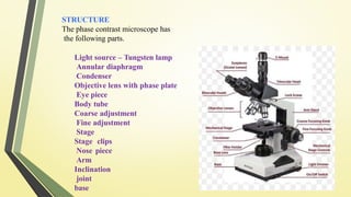 Comprehensive Overview of Phase Contrast Microscopy Principles and ...