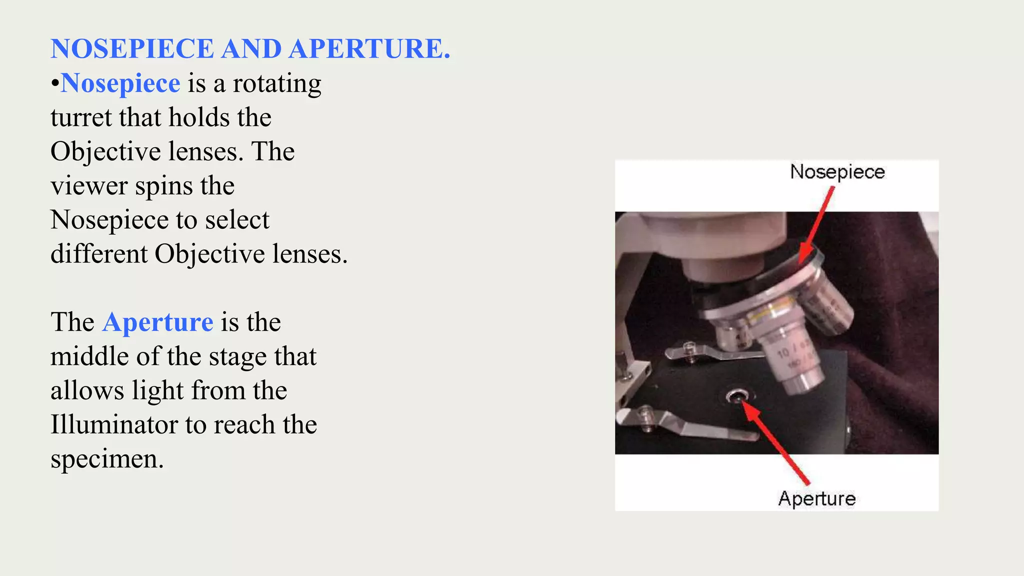 NOSEPIECE AND APERTURE.
•Nosepiece is a rotating
turret that holds the
Objective lenses. The
viewer spins the
Nosepiece to select
different Objective lenses.
The Aperture is the
middle of the stage that
allows light from the
Illuminator to reach the
specimen.
 