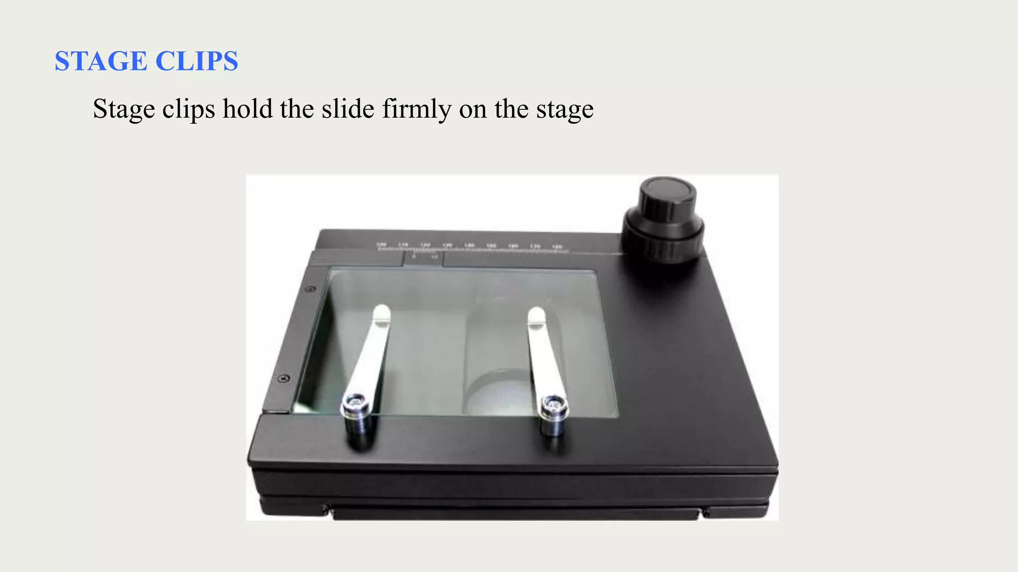 STAGE CLIPS
Stage clips hold the slide firmly on the stage
 