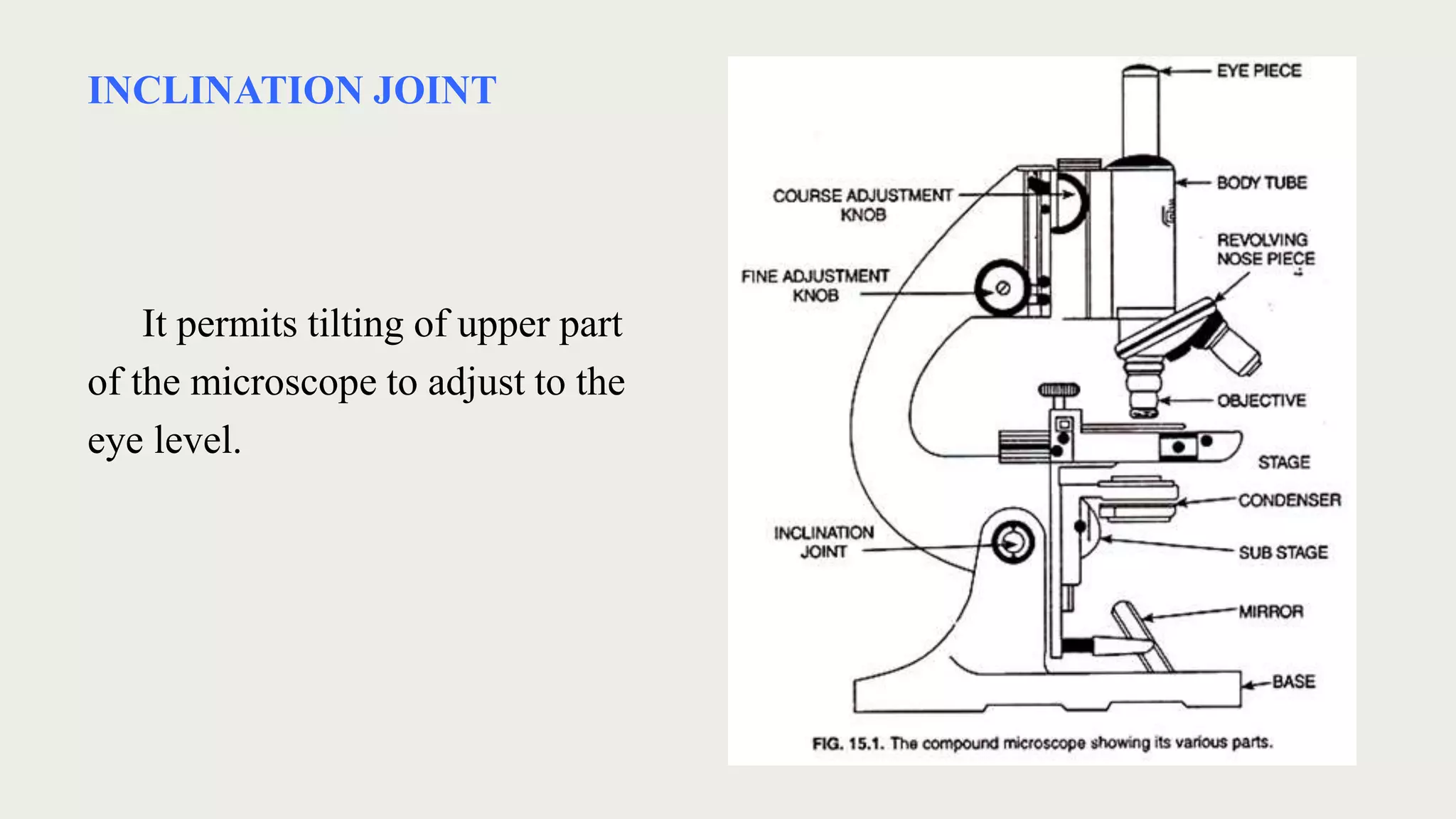 INCLINATION JOINT
It permits tilting of upper part
of the microscope to adjust to the
eye level.
 