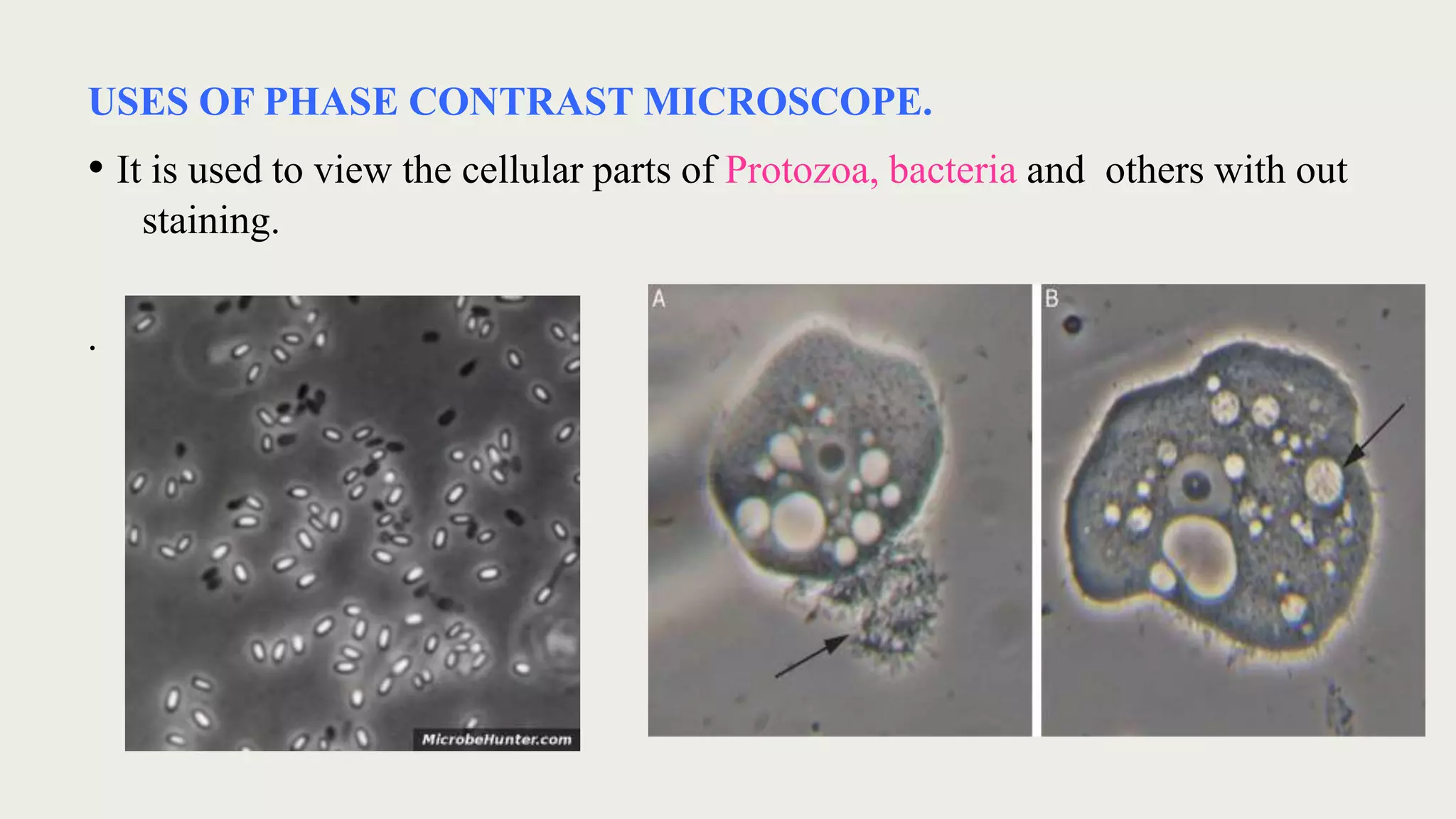 USES OF PHASE CONTRAST MICROSCOPE.
• It is used to view the cellular parts of Protozoa, bacteria and others with out
staining.
.
 