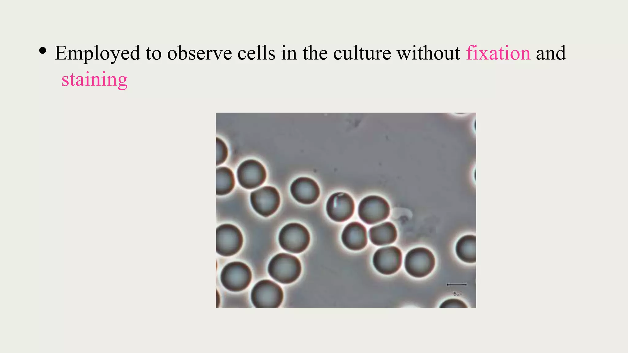• Employed to observe cells in the culture without fixation and
staining
 