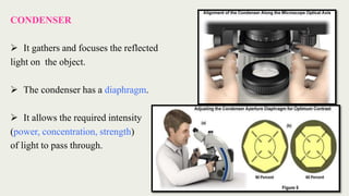 Phase contrast microscope | PPTX