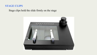 STAGE CLIPS
Stage clips hold the slide firmly on the stage
 