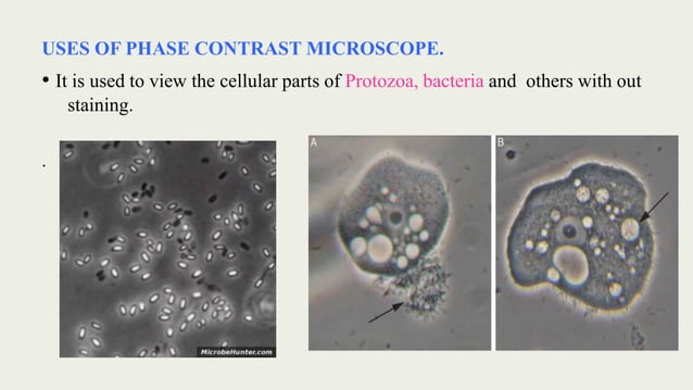 Phase contrast microscope | PPTX | Photography | Arts and Crafts