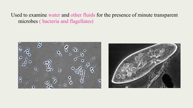 Phase contrast microscope | PPTX | Photography | Arts and Crafts