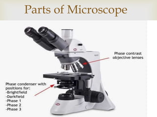 phasecontrastmicroscope-210805055149 (1).pdf