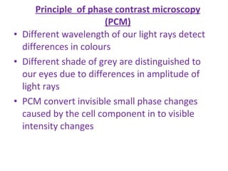 Principle  of phase contrast microscopy (PCM) Different wavelength of our light rays detect differences in colours Different shade of grey are distinguished to our eyes due to differences in amplitude of light rays PCM convert invisible small phase changes caused by the cell component in to visible intensity changes 