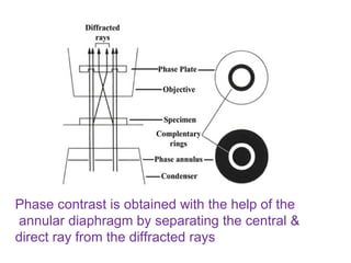 Phase contrast is obtained with the help of the annular diaphragm by separating the central & direct ray from the diffracted rays 