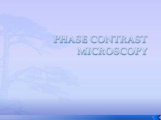 Phase contrast microscopy