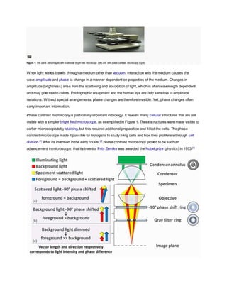 Phase contrast microscopy | DOCX