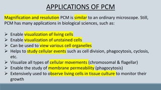 APPLICATIONS OF PCM
Magnification and resolution PCM is similar to an ordinary microscope. Still,
PCM has many applications in biological sciences, such as:
➢ Enable visualization of living cells
➢ Enable visualization of unstained cells
➢ Can be used to view various cell organelles
➢ Helps to study cellular events such as cell division, phagocytosis, cyclosis,
etc.
➢ Visualize all types of cellular movements (chromosomal & flagellar)
➢ Enable the study of membrane permeability (phagocytosis)
➢ Extensively used to observe living cells in tissue culture to monitor their
growth
 