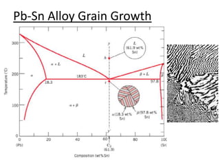 Pb-Sn Alloy Grain Growth 
 