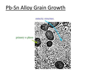 Pb-Sn Alloy Grain Growth 
 