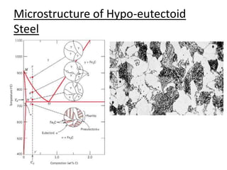 Microstructure of Hypo-eutectoid 
Steel 
 
