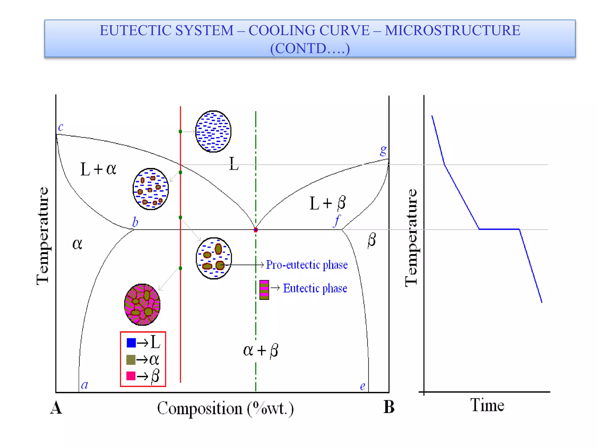 EUTECTIC SYSTEM – COOLING CURVE – MICROSTRUCTURE
(CONTD….)
 