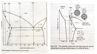 Comprehensive Overview of Phase Diagrams in Metal Systems and ...