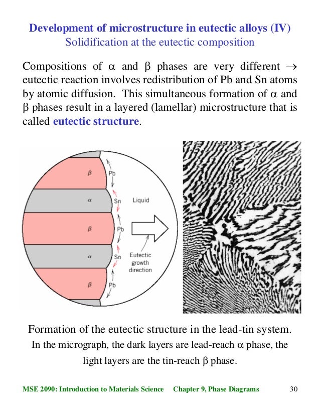 Phase Diagrams And Phase Transformations