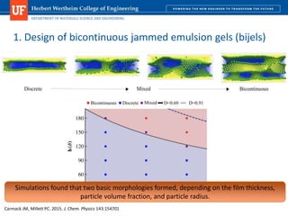 DEPARTMENT OF MATERIALS SCIENCE AND ENGINEERING
1. Design of bicontinuous jammed emulsion gels (bijels)
Carmack JM, Millett PC. 2015. J. Chem. Physics 143:154701
Simulations found that two basic morphologies formed, depending on the film thickness,
particle volume fraction, and particle radius.
 