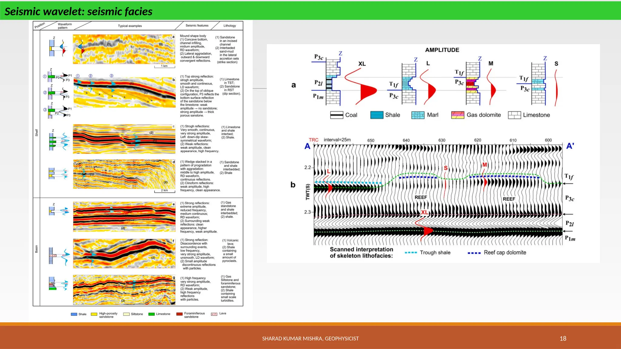 SHARAD KUMAR MISHRA, GEOPHYSICIST 18
Seismic wavelet: seismic facies
 