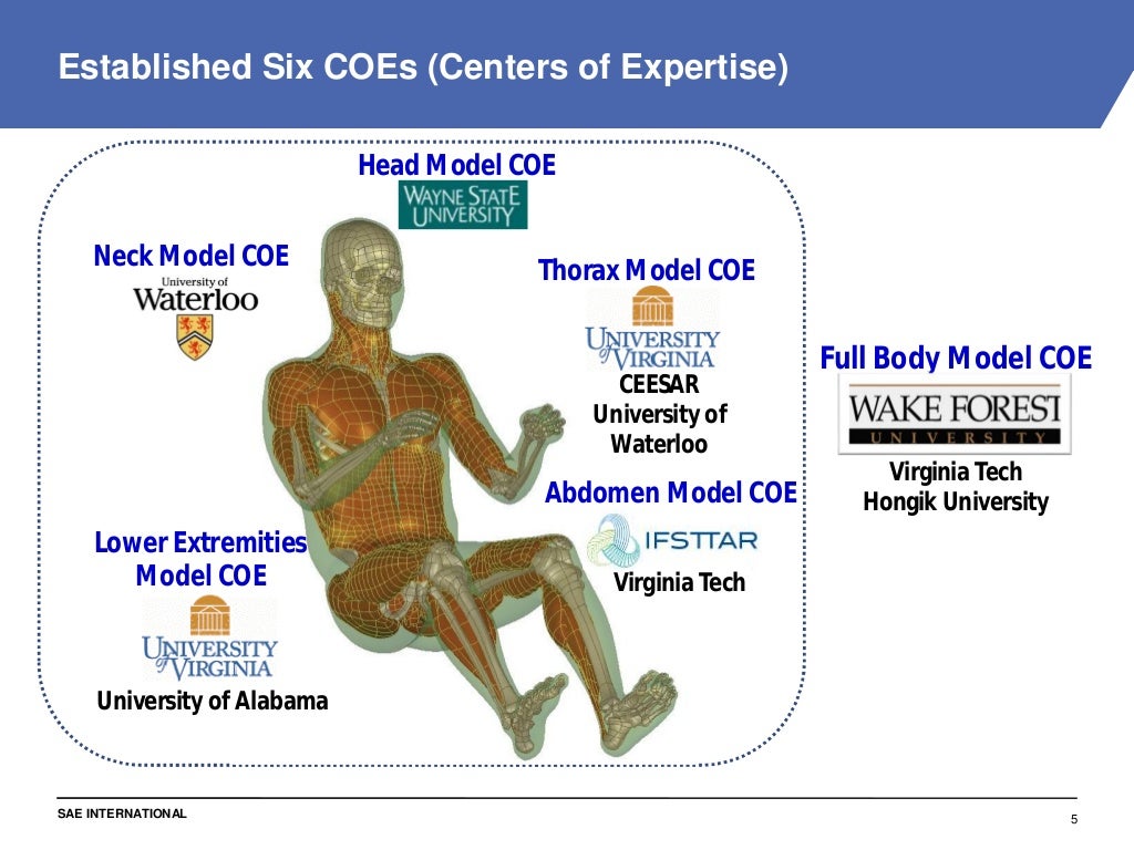Phase II Plan and Status of the Global Human Body Models Consortium