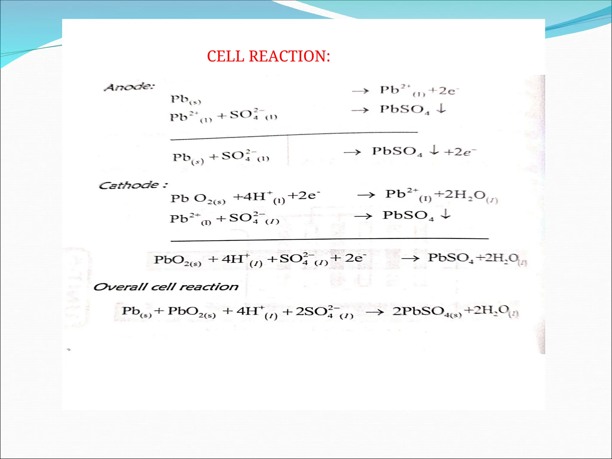 CELL REACTION:
 