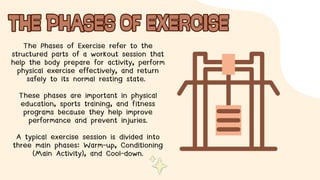 Comprehensive Guide to the Phases of Exercise for Fitness and Injury ...