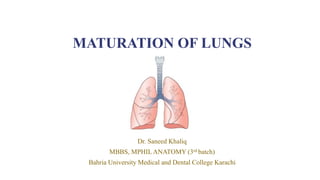 MATURATION OF LUNGS
Dr. Saneed Khaliq
MBBS, MPHIL ANATOMY (3rd batch)
Bahria University Medical and Dental College Karachi
 
