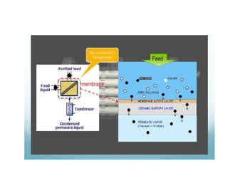 Phase separation | PPTX