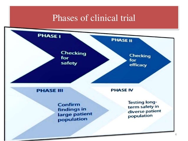 Phases in clinical trial