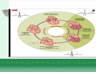 phases of cardiac cycle.pdf