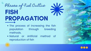 Phases of Fish Culture_compressed file.pdf
