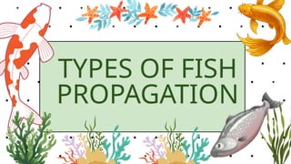 PHASES OF FISH CULTURE TLE 8 QUARTER 2.pptx