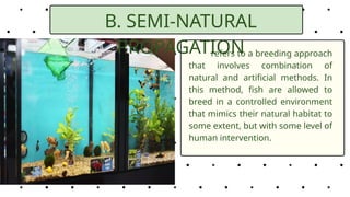 PHASES OF FISH CULTURE TLE 8 QUARTER 2.pptx