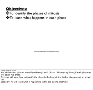 Objectives:
         ✤To identify the phases of mitosis
         ✤To learn what happens in each phase




                                  Pictures in this presentation are courtesy of Wikimedia Commons




Thursday, September 24, 2009

Mitosis has four phases, we will go through each phase. When going through each phase we
will cover two areas.
First, we will learn how to identify the phase by looking at it in both a diagram and an actual
cell.
Secondly, we will learn what is happening in the cell during that time.
 