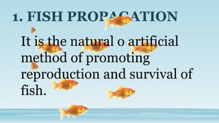 Phases of the fish culture | PPTX