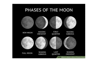 Phases of the moon