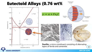 Eutectoid Alloys (0.76 wt% C)
18
Pearlite: a micro-constituent consisting of alternating
layers of ferrite and cementite.
𝛾 → 𝛼 + 𝐹𝑒3 𝐶
 