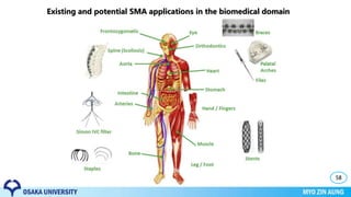 58
Existing and potential SMA applications in the biomedical domain
 