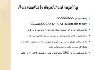AAAAAAAAA : رشته هموپلیمر  
GCGCGCGC OR ATATAT :Multimeric repeat  
مکانیسم تغییر فاز در اثر حذف یا اضافه شدن این واحدها صورت می گیرد  
باعث تغییر در قالب خواندن بازها و یا تغییر در قسمت رگولاتور ژن می شود  
مکانیسم تغییر آنتی ژن در کپسول مننگوکوکو لیپوپلی ساکارید هموفیلوسآنفلوانزا و  
هلیکوباکتر تغییر در قالب خواندن بازها می باشد 
مننگوکوک در تغییر در قسمت رگولاتور ژن می باشد OPC مکانیسم تغییر فاز در  
 