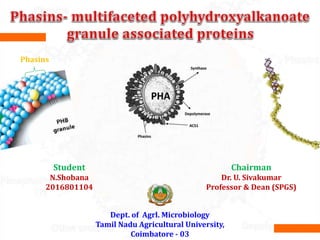Phasin Phasins | PPTX