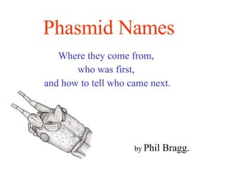 Phasmid Names   Where they come from,  who was first,  and how to tell who came next. by  Phil Bragg. 