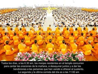 Todos los días, a las 6.30 am, los monjes residentes en el templo concurren  para cantar las oraciones de la mañana, a desayunar juntos y a dar las  bendiciones a las personas que han venido a ofrecer el sustento.  La segunda y la última comida del día es a las 11:00 am  