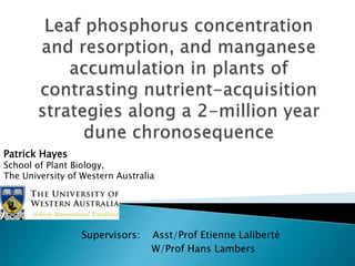 Patrick Hayes
School of Plant Biology,
The University of Western Australia




                  Supervisors:    Asst/Prof Etienne Laliberté
                                  W/Prof Hans Lambers
 