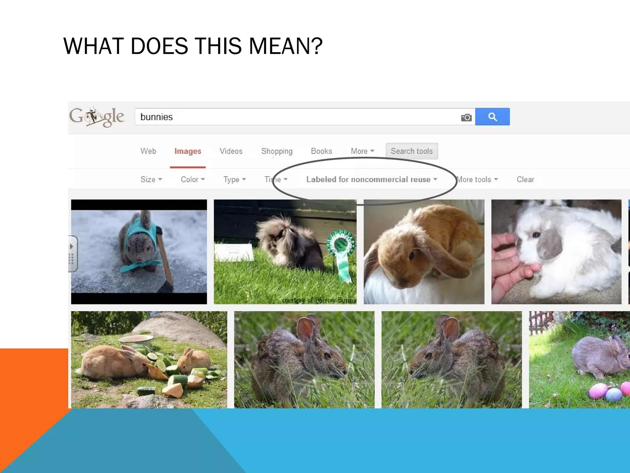 WHAT DOES THIS MEAN?
 