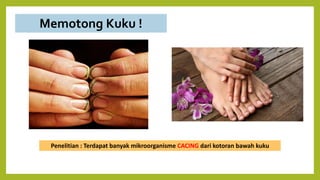 Memotong Kuku !
Penelitian : Terdapat banyak mikroorganisme CACING dari kotoran bawah kuku
 