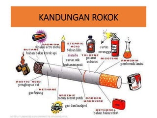 KANDUNGAN ROKOK
 