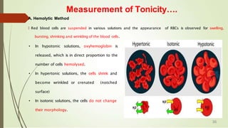 Measurement of Tonicity….
A. Hemolytic Method
🠶 Red blood cells are suspended in various solutions and the appearance of RBCs is observed for swelling,
bursting, shrinking and wrinkling of the blood cells.
• In hypotonic solutions, oxyhemoglobin is
released, which is in direct proportion to the
number of cells hemolysed.
• In hypertonic solutions, the cells shrink and
become wrinkled or crenated (notched
surface)
• In isotonic solutions, the cells do not change
their morphology.
36
 